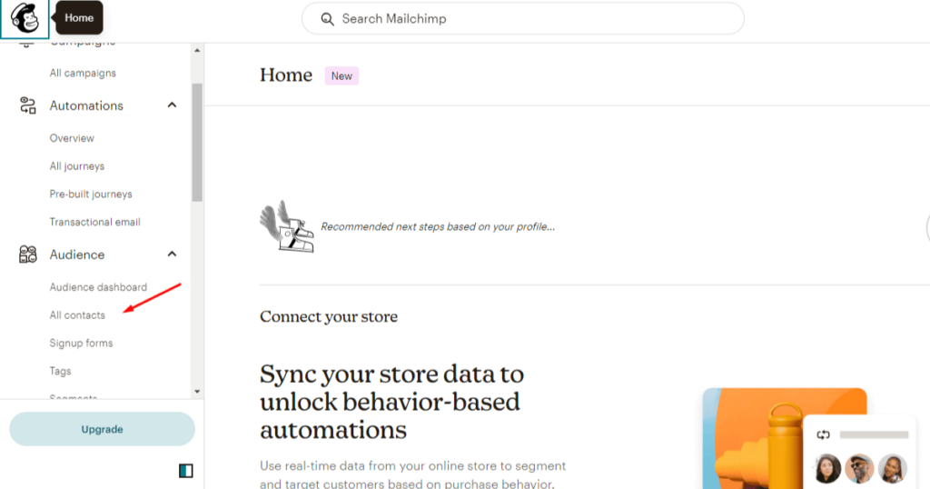 Click all contacts under audience section in mailchimp