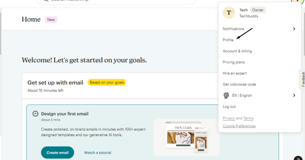 Click profile in mailchimp