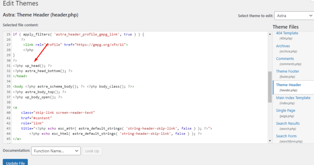 Seek wp_head function in theme file editor