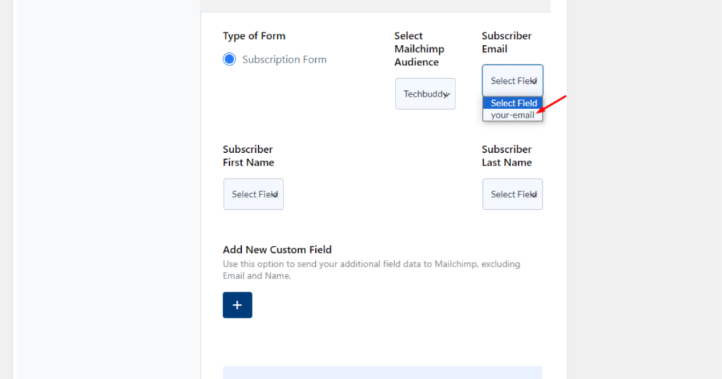 Select subscriber email as your-email in mailchimp