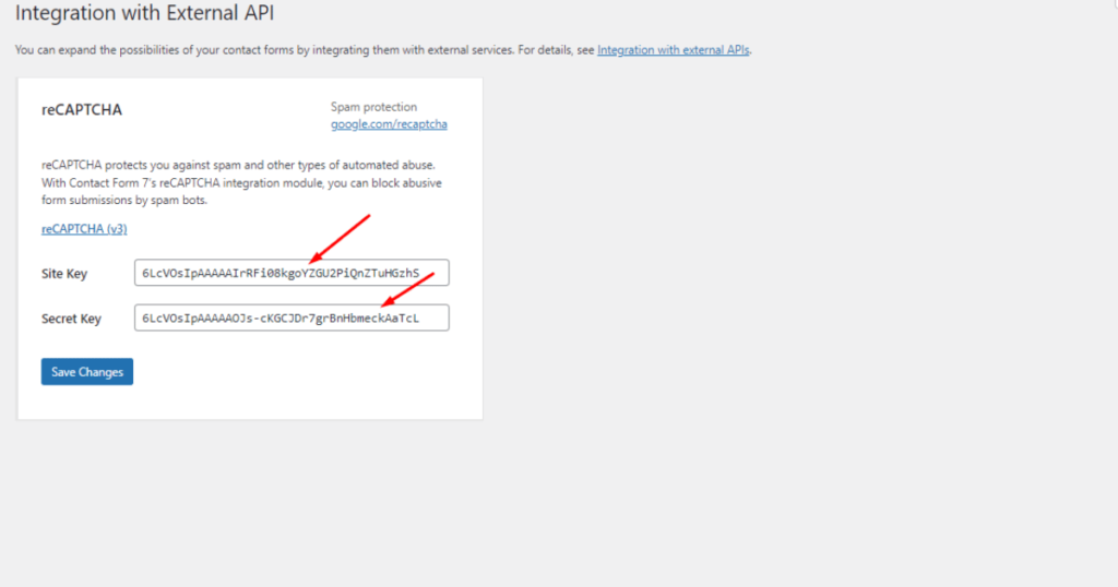 Paste SITE and SECRET keys into reCAPTCHA into Contact Form 7